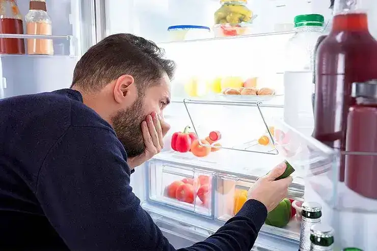 7 دلیل اصلی بوی بد یخچال فریزر +(راه حل )